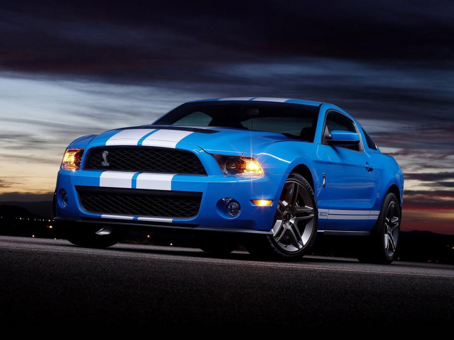  Shelby GT500 2009 года  (фото 15 из 21)